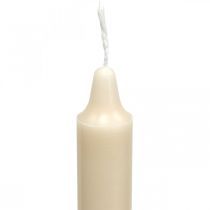 Itens Velas de cera PURA velas em bastão creme Sahara 250/23mm cera natural 4 un