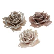 Cera rosa mistura de champanhe Ø10cm 6pcs