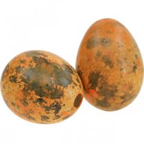 Itens Ovos de codorna decoração ovos soprados laranja damasco 3cm 50 un