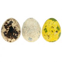 Sortido de ovos de codorna amarelo natural 3cm 62uds
