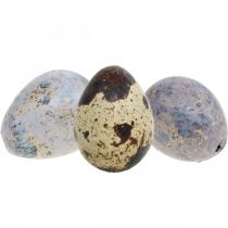 Ovo de codorna mix roxo, violeta, natureza ovos vazios para decoração 3cm 65p