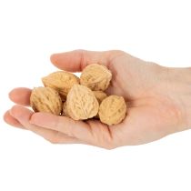 Itens Nozes para decoração, produto natural, 3-4 cm, 300 g
