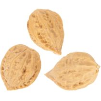 Itens Nozes para decoração, produto natural, 3-4 cm, 300 g