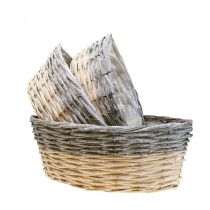 Itens Cesto de vime para plantar Vaso para plantas L29/33/38cm conjunto de 3