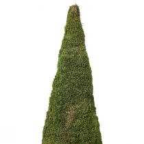 Itens Árvore de natal decoração de árvore de musgo em verde natural Ø25cm Alt.70cm