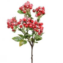 Ramos de Natal com frutos vermelhos, decoração de inverno, harpberry vermelho nevado L58cm