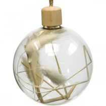 Bolas de Natal bola de decoração de vidro cheia de flores secas Ø8cm 3pcs