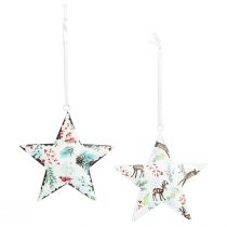 Itens Enfeites de Natal: estrela, veado, ramos de pinheiro, frutos silvestres, Ø8cm, conjunto de 6 enfeites decorativos para pendurar na árvore de Natal.