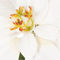 Itens Poinsétia artificial branca, flor grande, planta decorativa, 40 cm