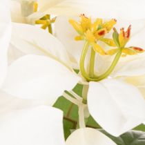 Itens Poinsétia artificial branca, flor grande, planta decorativa, 40 cm