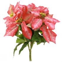 Itens Poinsétia Artificial Vermelho Rosa L35cm 6pcs 2 cachos