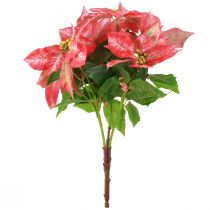 Itens Estrela de Natal vermelha rosa estrela de Natal artificial C53cm