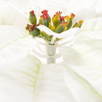 Itens Poinsétia artificial branca, galho grande florido para decoração, 65 cm, 2 peças
