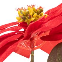 Itens Decoração artificial de poinsétia vermelha com haste única de 82 cm