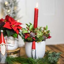 Itens Pote de Natal com gnomo, decoração do advento, vaso de concreto branco, vermelho Ø8cm A12,5cm 2 unidades