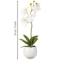 Itens Flores artificiais de orquídea branca em vaso Phalaenopsis H33cm