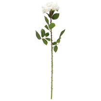 Itens Rosa Branca Falsa Rosa em Caule Flor de Seda Falsa Rosa L72cm Ø13cm