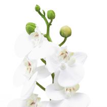 Itens Orquídea Artificial Branca Phalaenopsis Real Touch 32cm