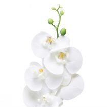 Itens Orquídea Artificial Branca Phalaenopsis Real Touch 85cm