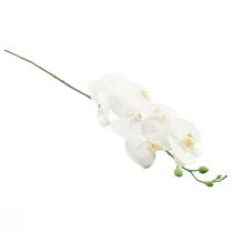 Itens Orquídea Artificial Branca Phalaenopsis Real Touch 85cm