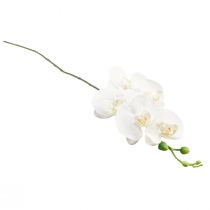 Itens Orquídea branca artificial Phalaenopsis Real Touch H83cm