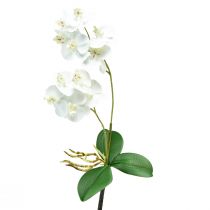 Itens Orquídea Branca em Picareta Phalaenopsis Artificial Real Touch 39cm