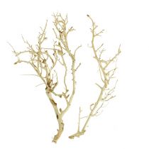 Itens Arbusto Branco branqueado 5 unid.