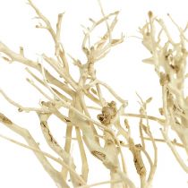 Itens Arbusto Branco branqueado 5 unid.