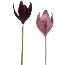 Lírio selvagem para decoração na haste mix rosa, urze 45pcs