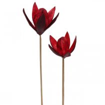 Lírio selvagem em uma haste vermelha Ø6.5cm 35cm 45p