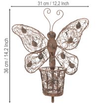 Itens Lanterna de metal, decoração de parede, borboleta, acabamento envelhecido, 36,5 cm