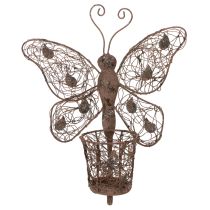 Itens Lanterna de metal, decoração de parede, borboleta, acabamento envelhecido, 36,5 cm