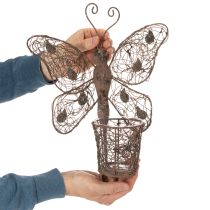Itens Lanterna de metal, decoração de parede, borboleta, acabamento envelhecido, 36,5 cm