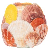 Itens Porta-velas náutico, lanterna, conchas marinhas verdadeiras, decoração para banheiro, ambiente de férias, 12 cm