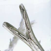 Itens Chifres de lanterna prateados Ø16cm Alt.11cm