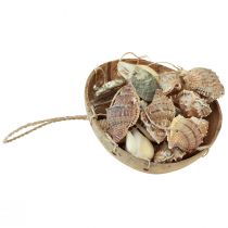 Itens Carrilhão de vento decoração marítima com coco natural Ø12,5cm 48cm