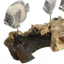 Peixe decorativo em madeira de raiz Figuras decorativas marítimas marrom 38cm