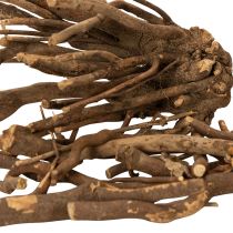 Itens Galhos e raízes decorativas de madeira, naturalmente secas, 18 cm, 500 g