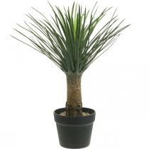 Palmeira de mandioca artificial em vaso Planta em vaso de palmeira artificial H52cm