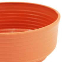 Z-bowl plástico Ø 16cm - 22cm 10 peças