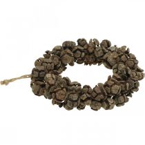 Itens Coroa de cone grinalda de cipreste guirlanda de porta guirlanda natureza Ø20cm