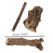 Itens Raízes de madeira decorativas encantadoras para sua casa.