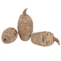 Itens Pinhas de cedro, cedro decorativo, natural, 9-10,5 cm, 3 peças