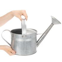 Itens Regador vintage de zinco, 27 cm - vaso para jardim e pátio, floreira de metal