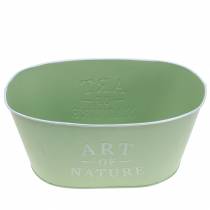Itens Tigela de flores oval zinco verde menta 27×18cm A12,5cm