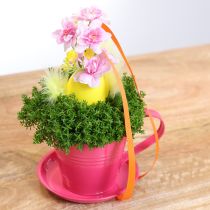 Itens Vaso para plantas com pires para jardins criativos, 11 cm, conjunto de 6 peças
