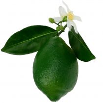 Limões com flor 9,5 cm verde 4 unidades