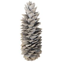 Itens Pinhas de açúcar caiadas de branco 20cm - 30cm