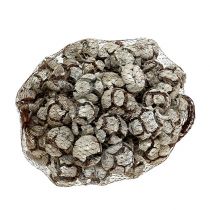 Itens Pinhas de cipreste de 3 cm, pintadas de branco, 500 g