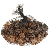 Itens Cones de cipreste cones de cipreste naturais decorativos 2-4cm 250g